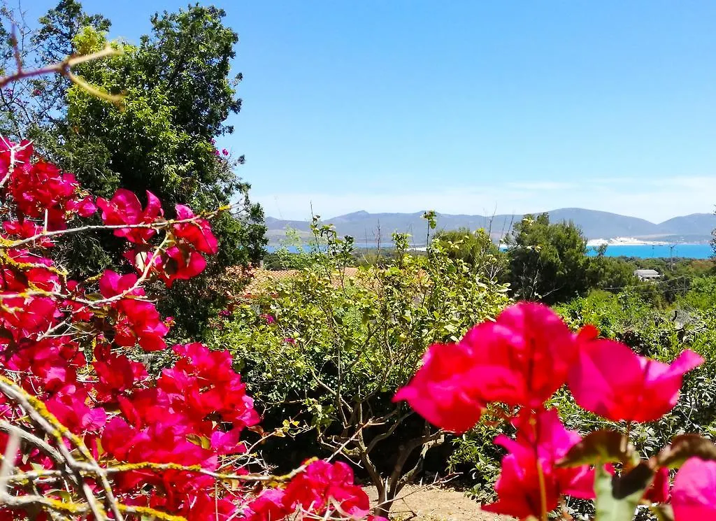 Apartment Panohome Porto Pino Italy